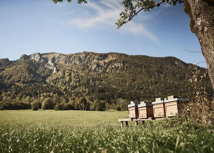 Rait'ner Wirt Hotel Schleching