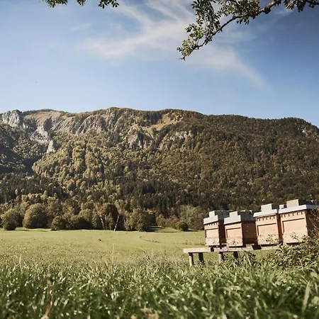 Rait'ner Wirt Hotel Schleching